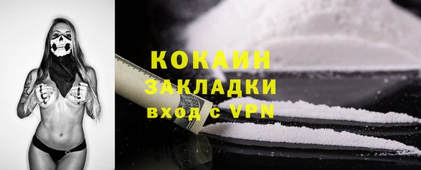 дживик Бронницы