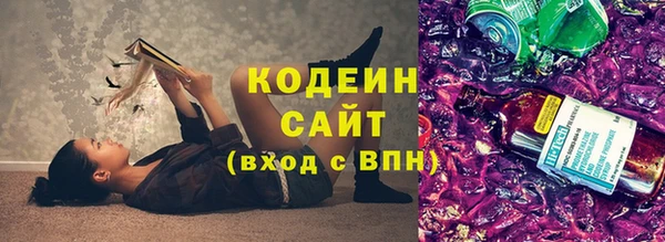 крисы Верхний Тагил