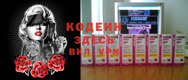 крисы Верхний Тагил