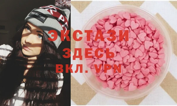 сатива Туринск