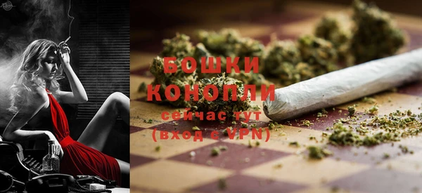 крисы Верхний Тагил