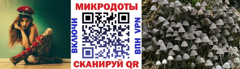Псилоцибиновые грибы MAGIC MUSHROOMS  наркота  Лукоянов 